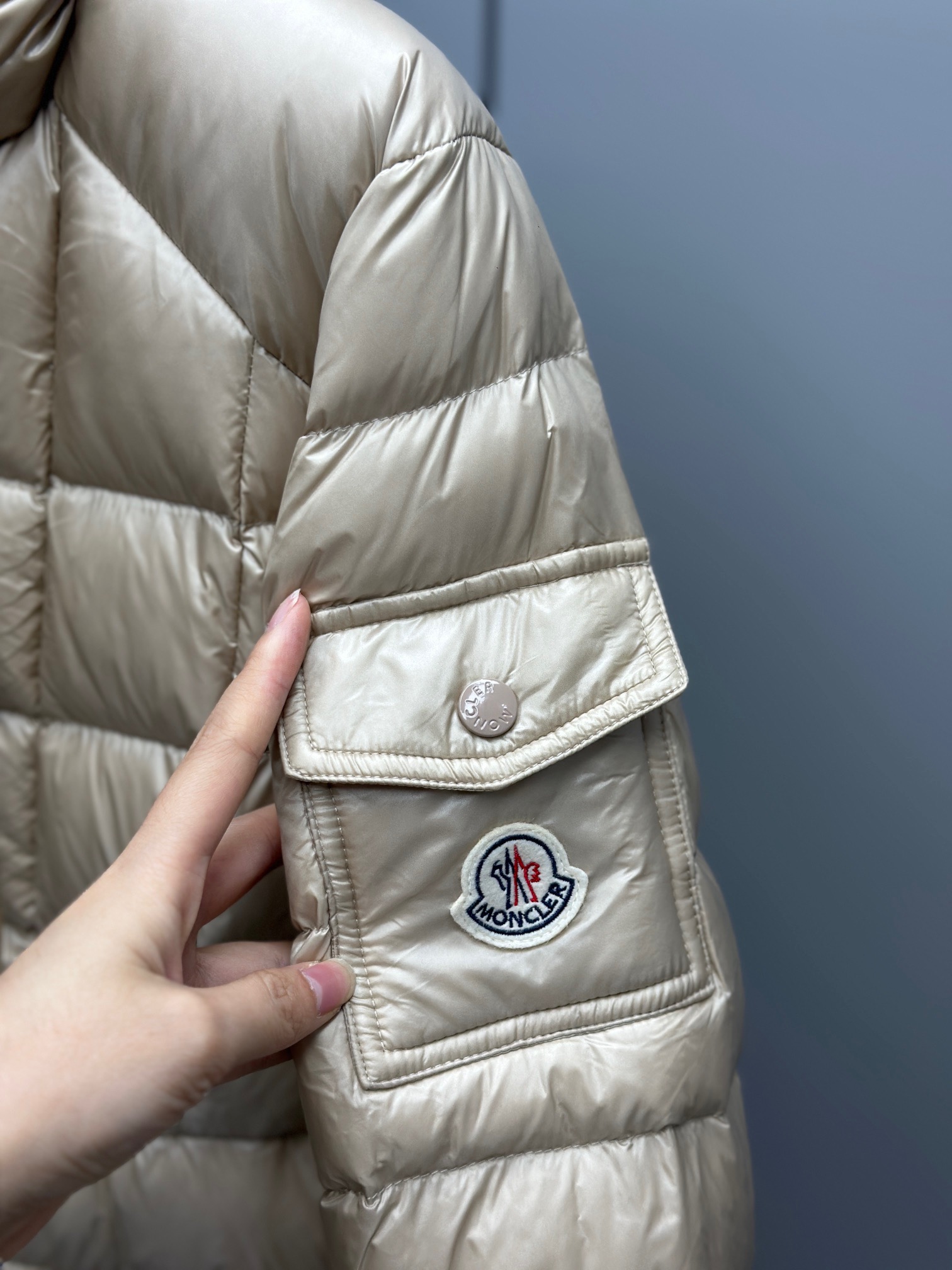 Moncler Down Jackets